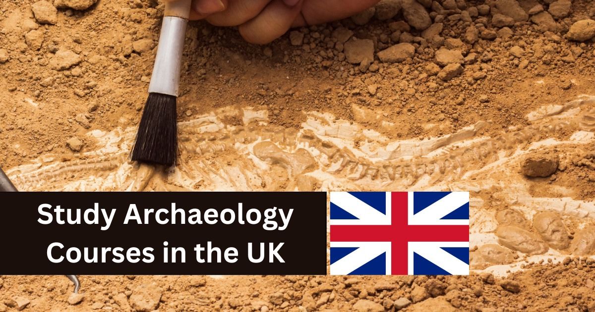 Study Archaeology courses in the UK